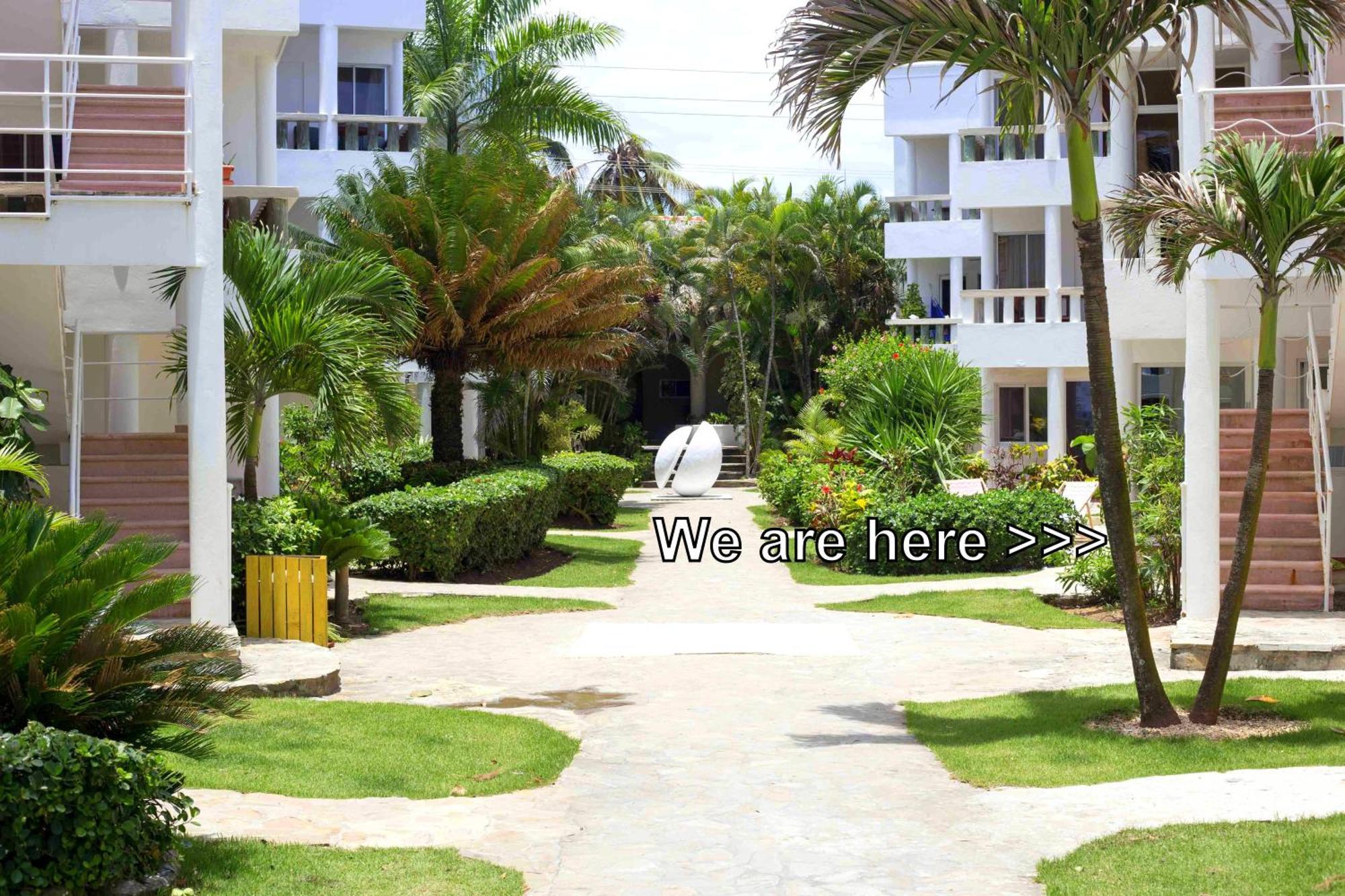 Condo Cabrinha - Direct On Kite Beach Cabarete Chambre photo